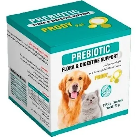 SQ22FeUbjGO1P2t-